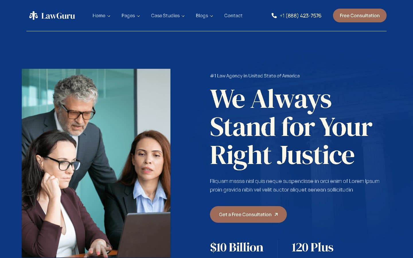 Example law firm website, LawGuru: deep blue with a warm accent, bold serif