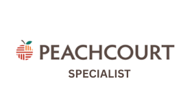 Georgia PeachCourt eFiling partner SourcePro Consultants